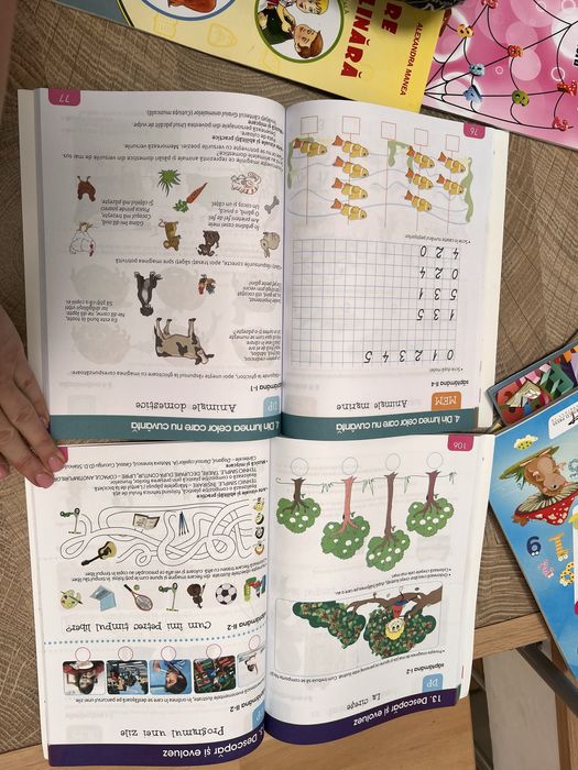 Lot carti clasa pregatitoare NOU