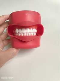 Фантом челюсть для стоматологов