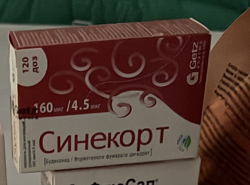 Сине.ко.рт новый