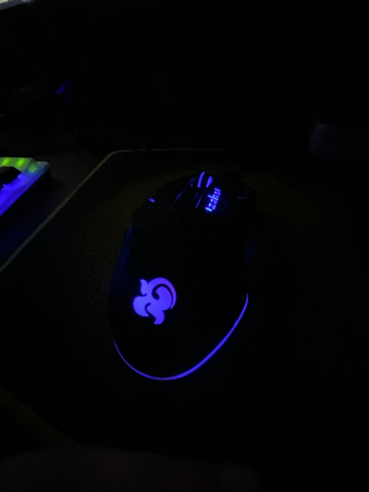 Mishka | Sichqoncha | mouse