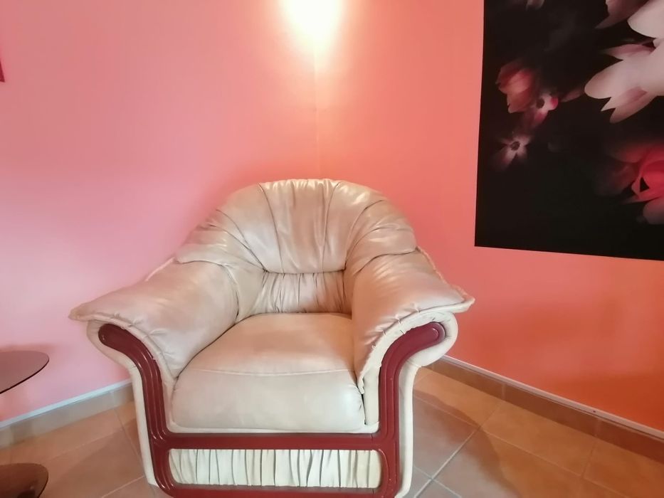 Fotolii din piele ecologică in stare foarte buna