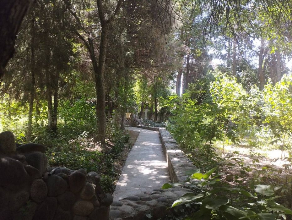 Земельный участок в Янгий Узбекистан, фасад 150м ширина 40м, Тузель