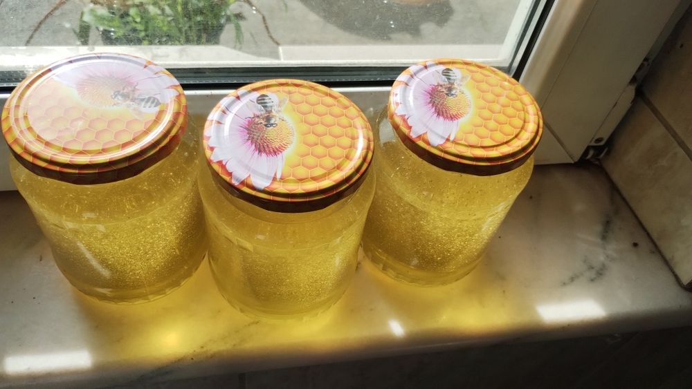 Miere de Albine Tei 2024