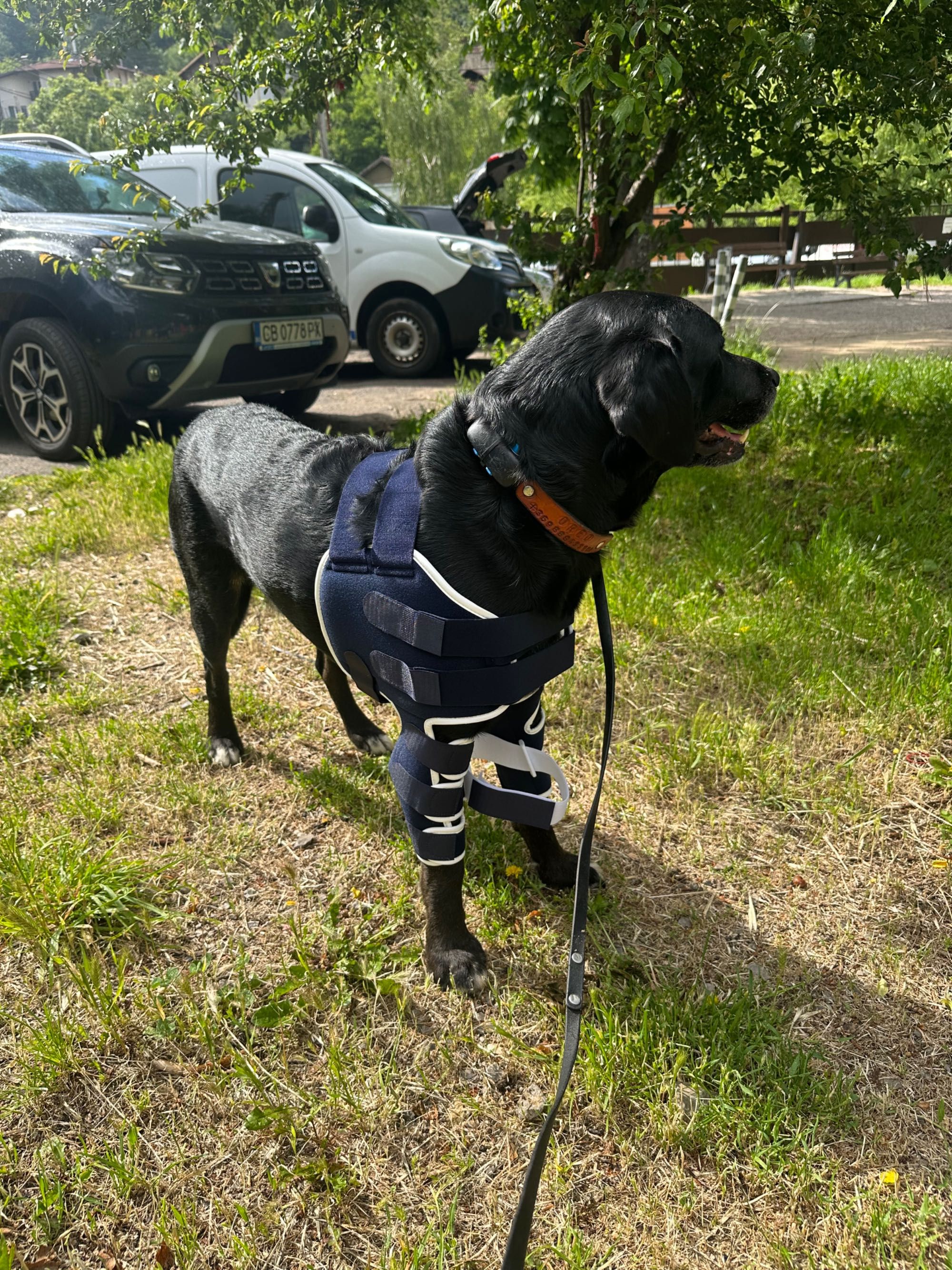 Balto BT LUX shoulder brace/раменна ортеза