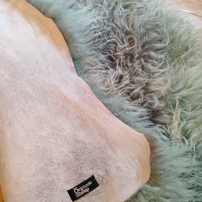 Декоративна кожа в зелена гама