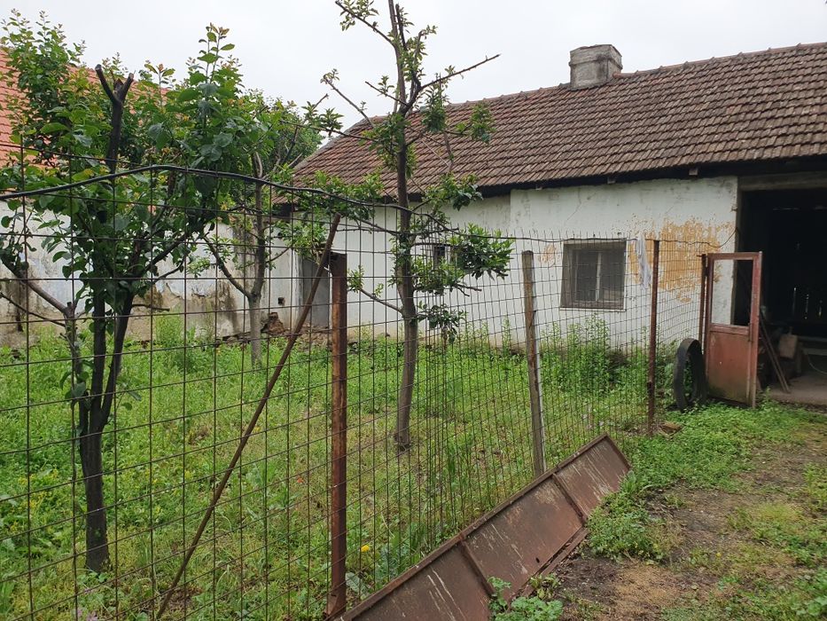 Vând loc casa in Moldova Veche suprafața 680mp
