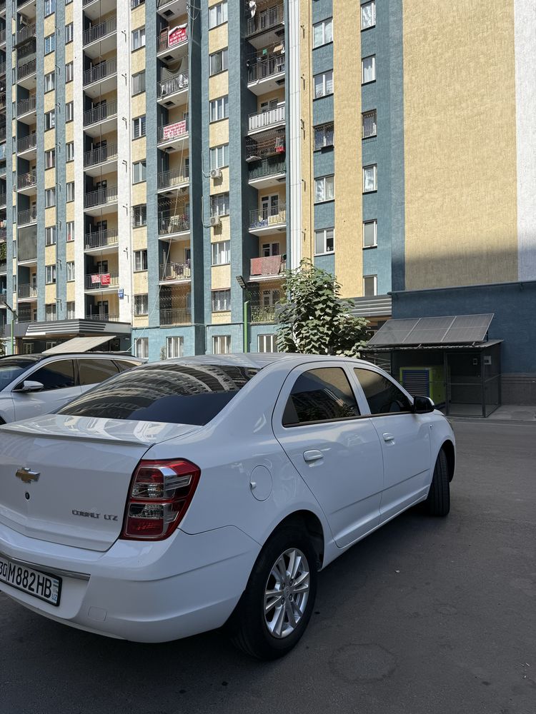 Cobalt 2024 srochna