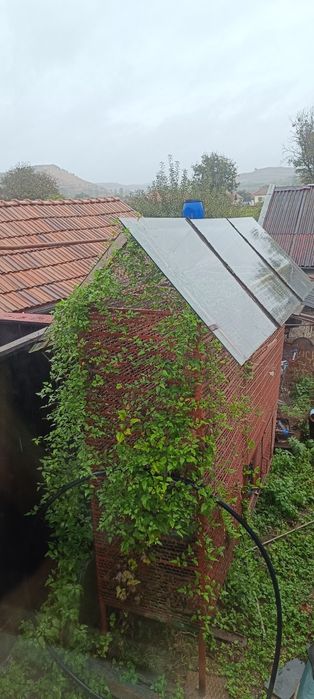 Coșer/patul cereale