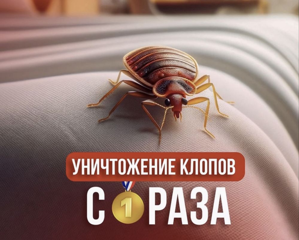 Chistodez.uz — профессиональная дезинсекция дезинфекция в Узбекистане