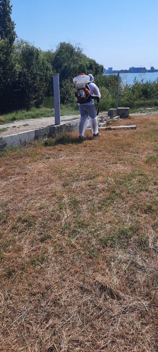 Curățare cosire defrisare terenuri iarba -arbusti-copaci-ambrozie