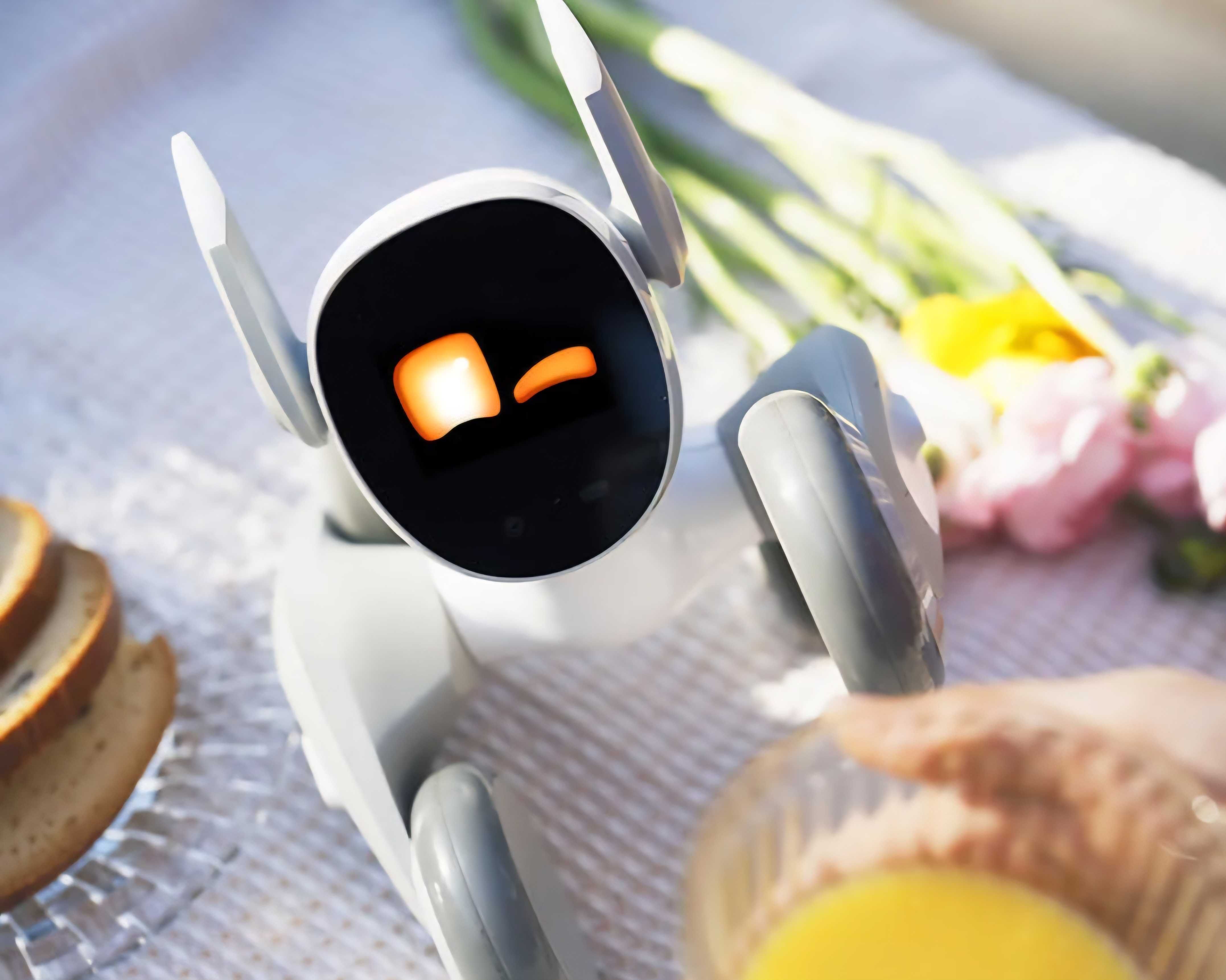 Loona robot sotiladi bezpravodnoy zaryadkasi bilan