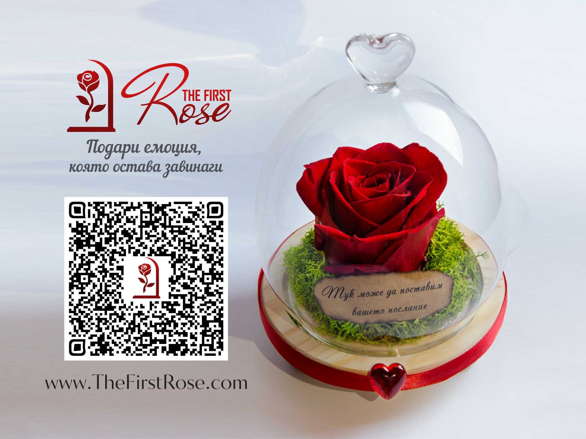 ЕСТЕСТВЕНА Вечна роза в стъкленица / Подарък за имен ден / Вечна Роза