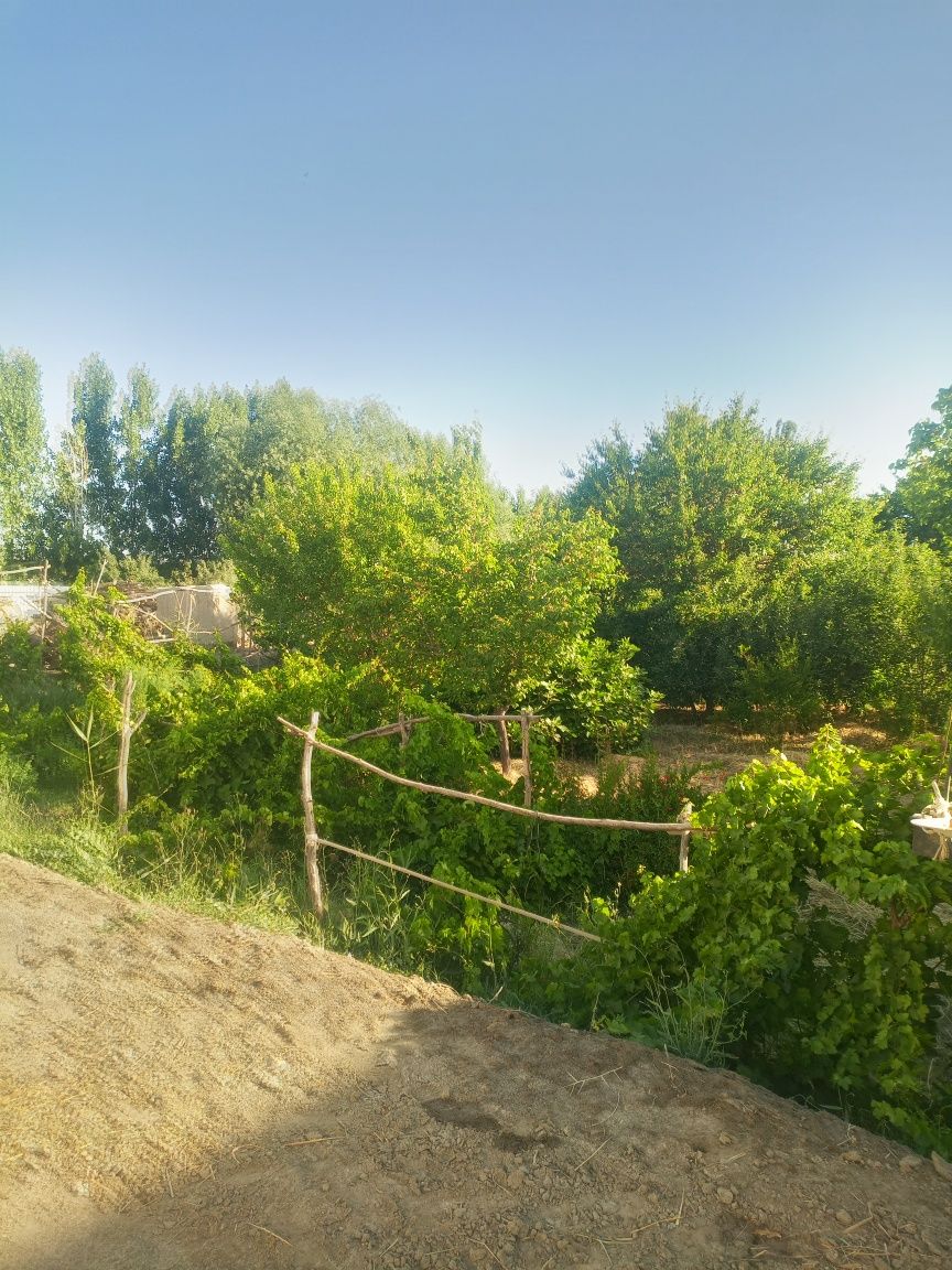 Продается участок в джондоре