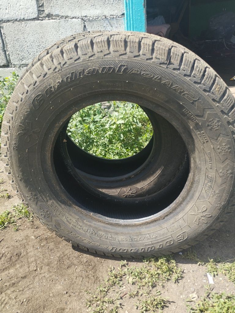 Продам шина 13, размер 175,70