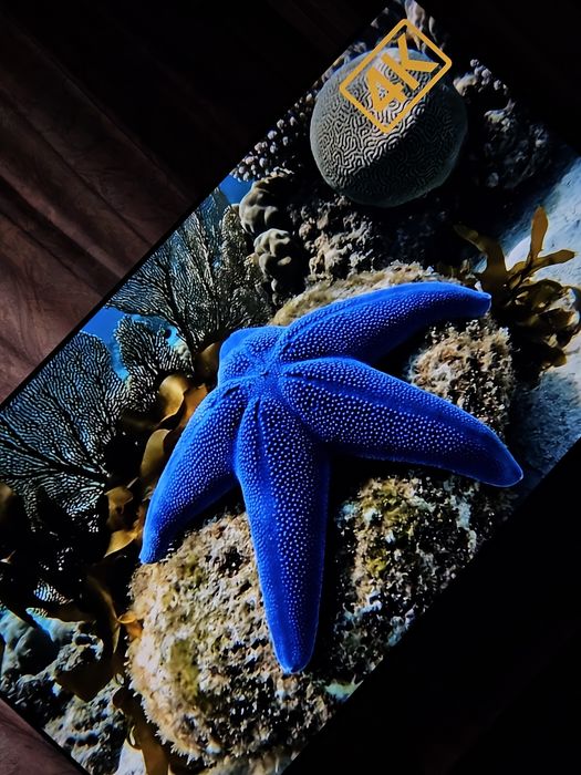 Большой телевизор  Самсунг Qled QE 55 Q 95 t