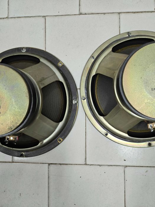 Японски говорители  RAMSA