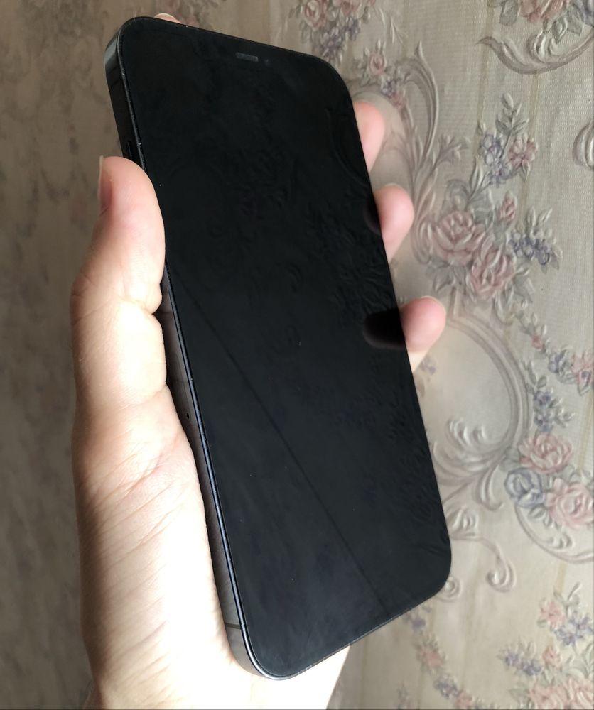 iPhone 12 pro max ideal
