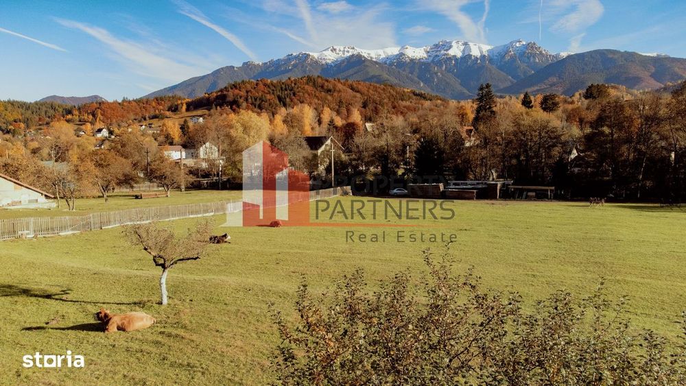 Teren Moieciu 8206 mp - Oportunitate de investitie