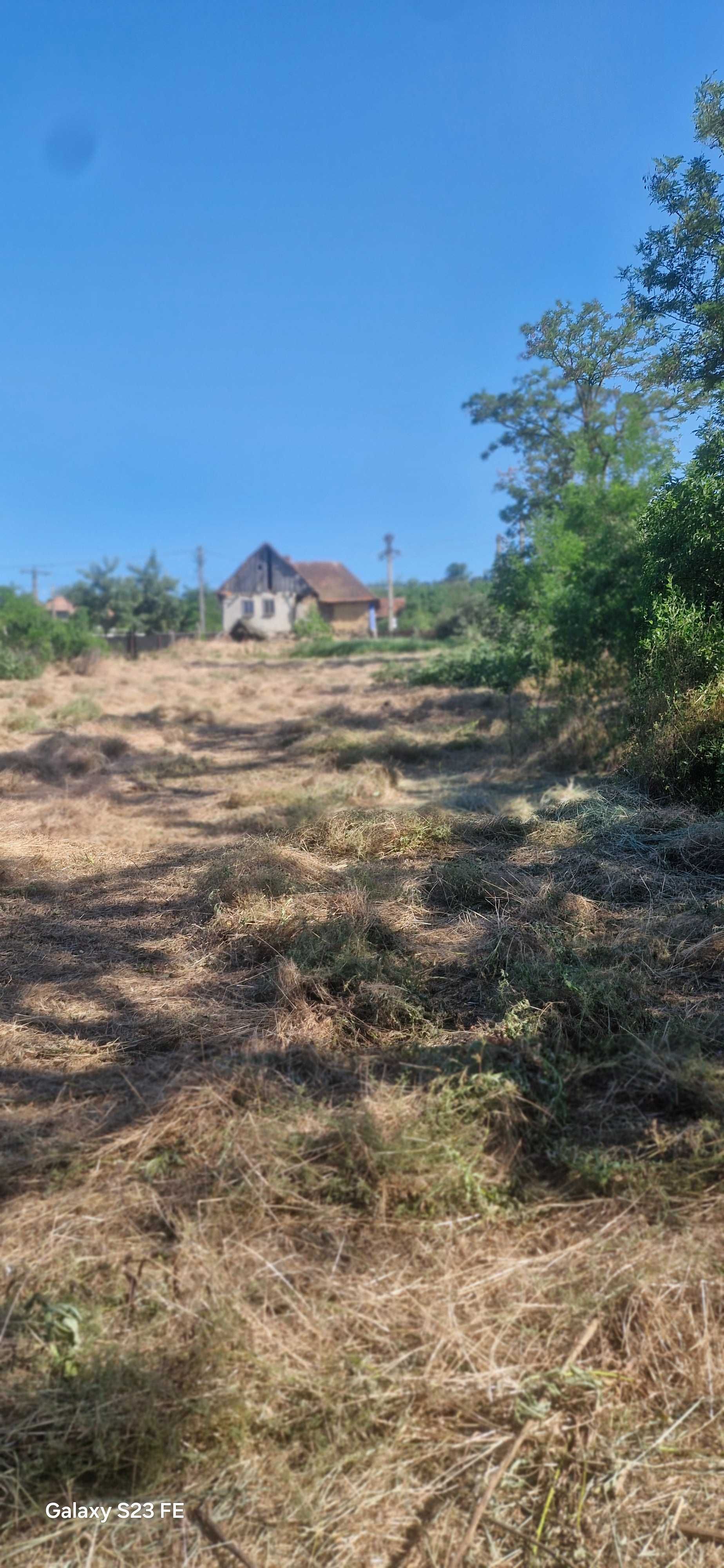 Teren pentru casă și grădină