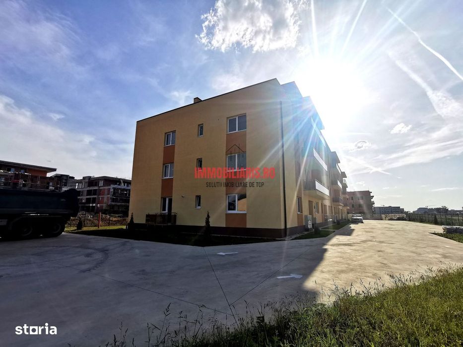 Theodor Pallady - FINALIZAT - Direct Dezvoltator