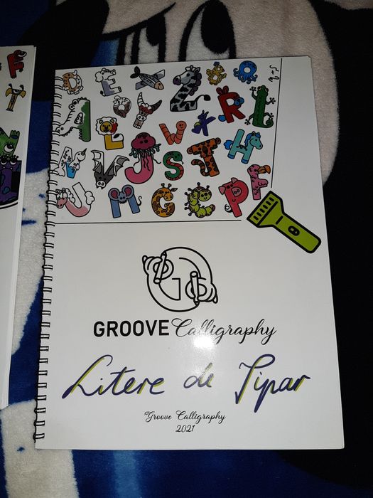 Set 4 Caiete Groove Caligraphy cu 2 seturi de pix