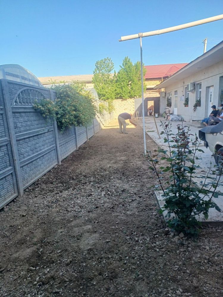 Yevro gazon sifatli va arzon