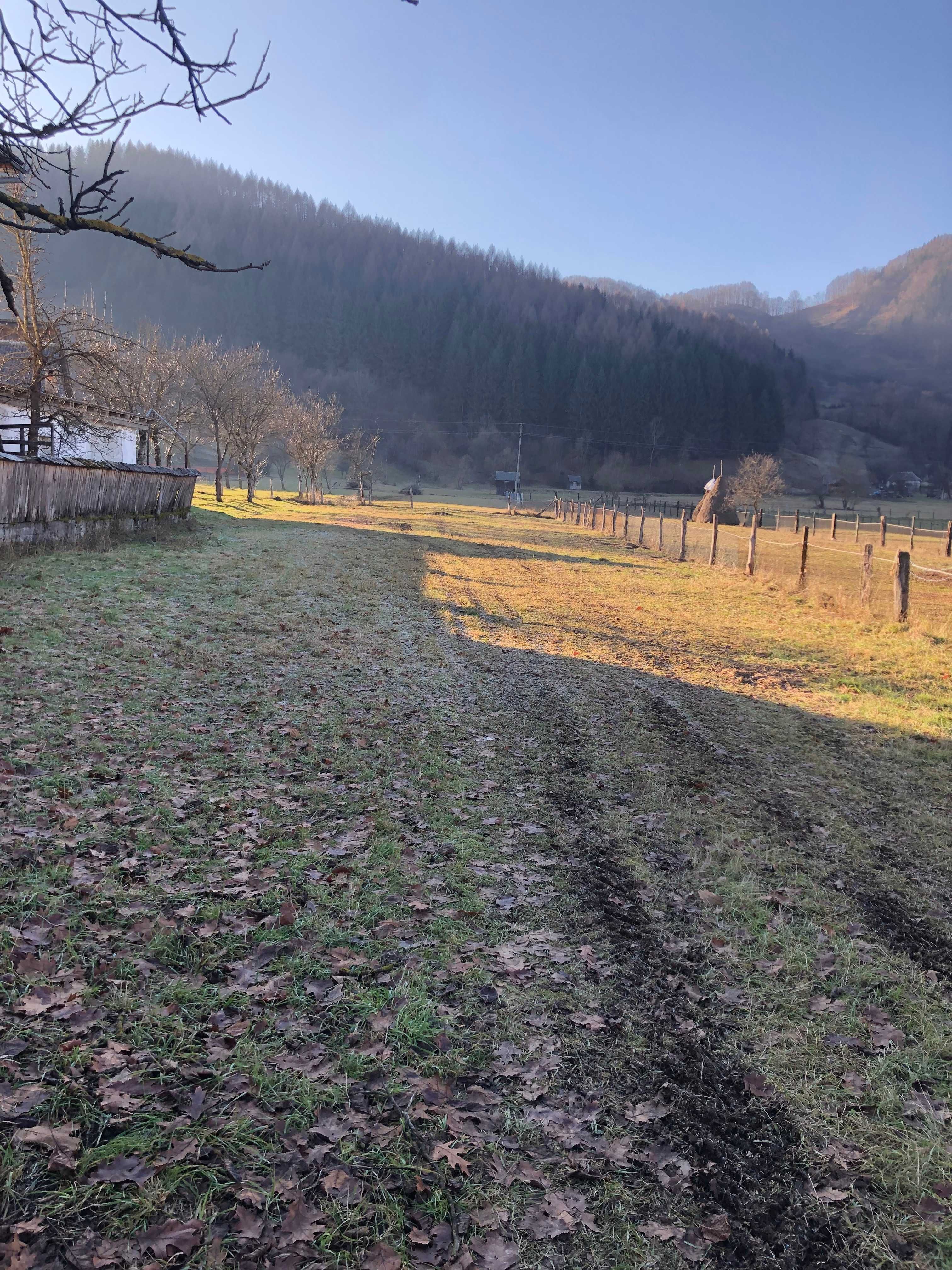 De Vanzare Extra Vilan 3000mp. Livada cu acces din strada,Gradina