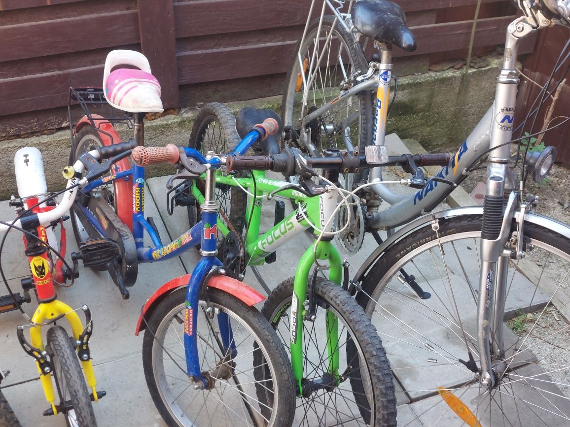 Biciclete copii și adulți germania