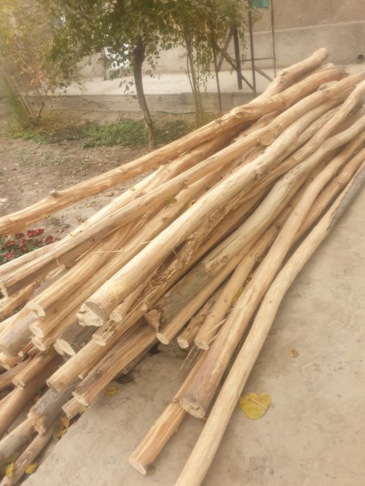 Тераклар сотилади