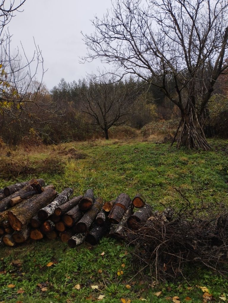 Продава се Парцел в с. Черкаски, Област Монтана - 670 кв.м за 15 €/кв.м - Снимка #4