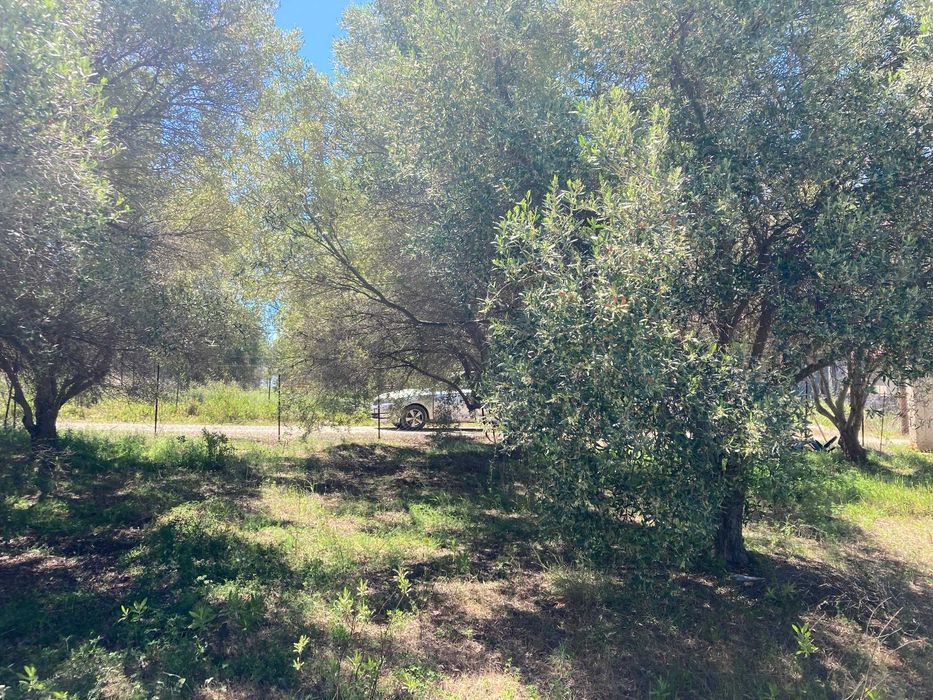 Дава се под наем Парцел в София, Зона Б-19 - 560 кв.м за 1500 € - Снимка #5