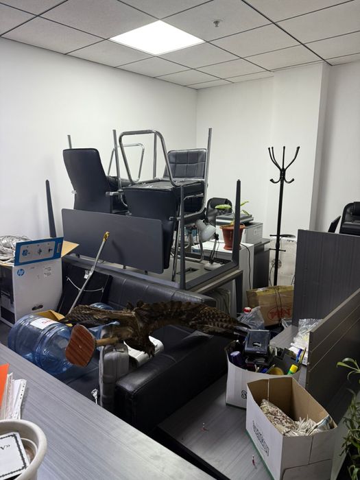 Продам офисеую мебель больше половины мебель новая