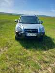 Vand Hyundai tucson 2007