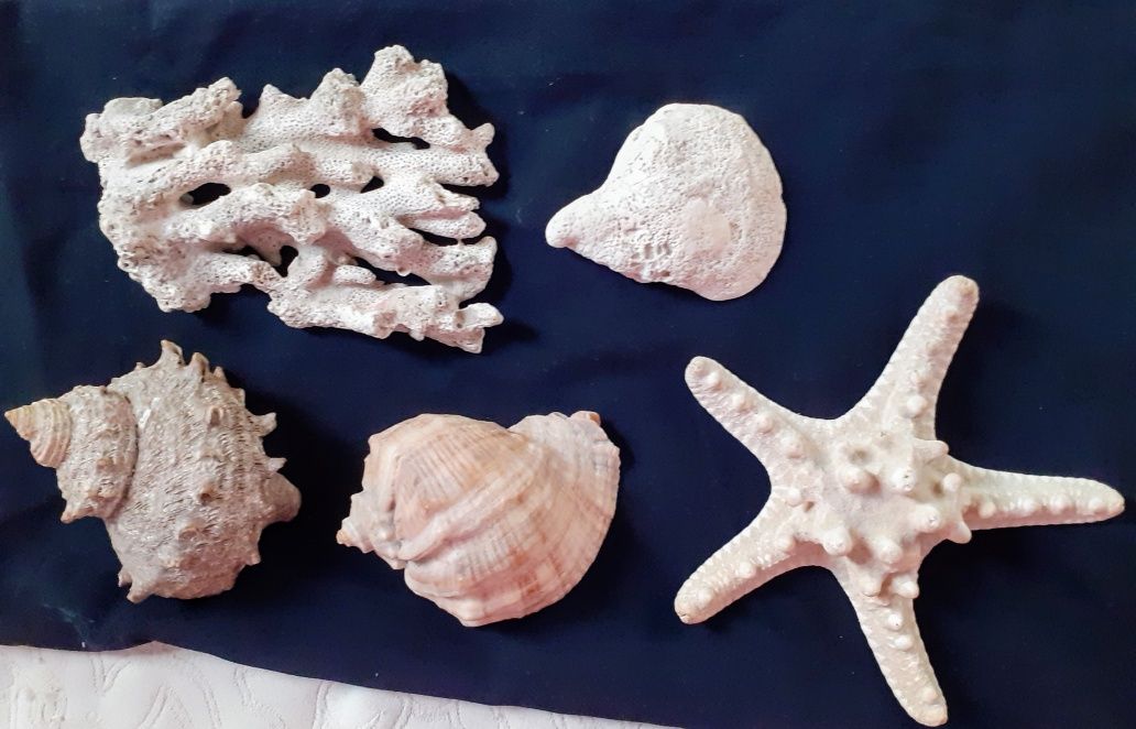 Большой выбор морских украшений из разных стран