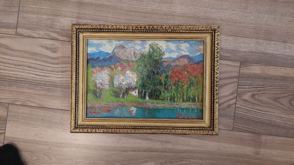 Tablou artistic 32 * 21 cm lacul Bódi 1997