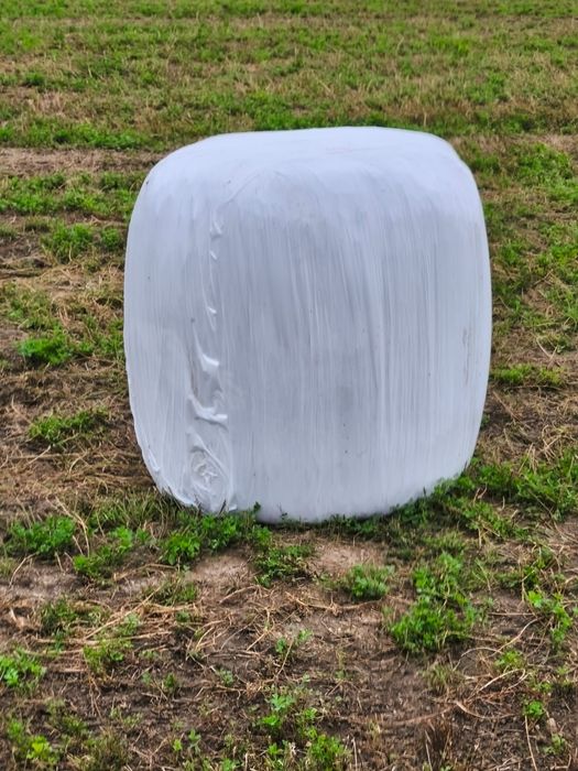 Vand baloti de fan infoliati