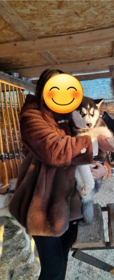 Продам шубу в отличном состоянии