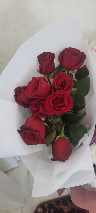 Продам цветы б.у