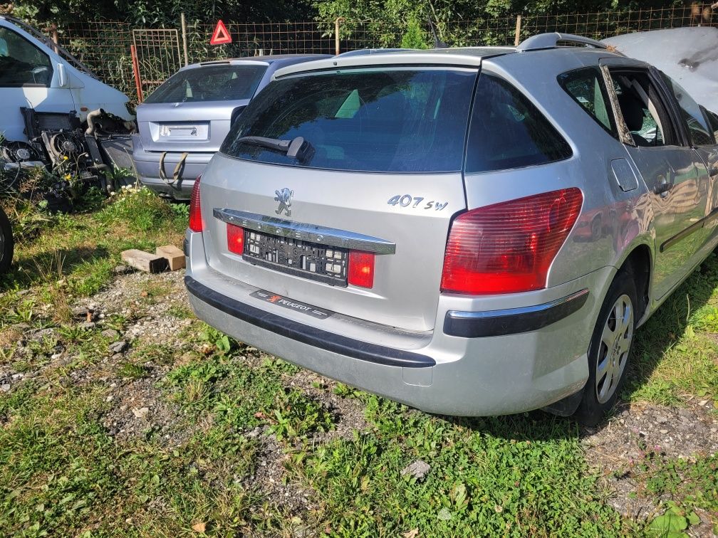 Haion Peugeot 407 break