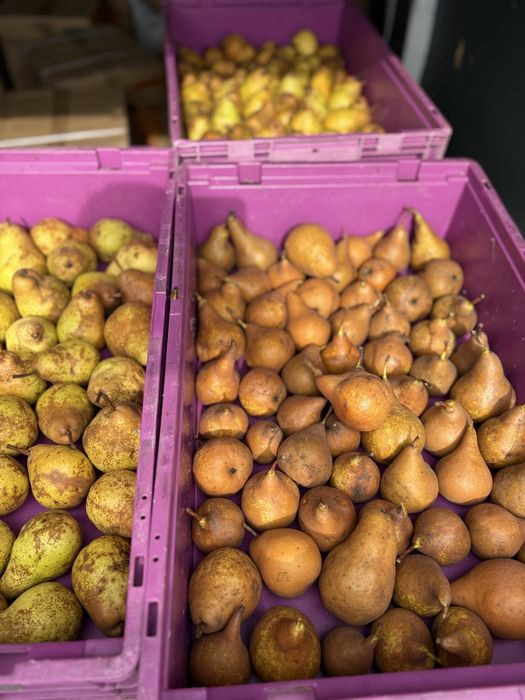 Pere bio 100% din Felnac – 4 lei/kg