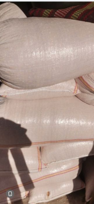 Vand porumb boabe ‼️