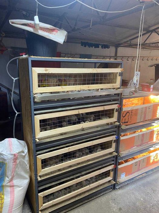 Продам клетки для птиц