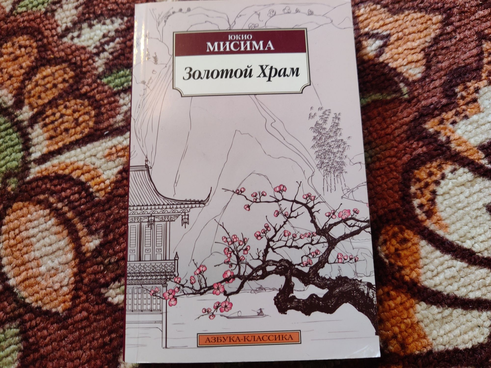 Книги новые, классика и др.