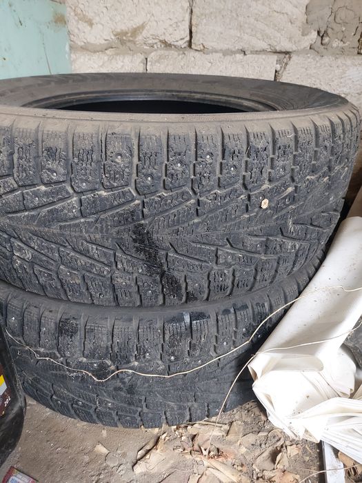 18дік нокиан шипы 1-2 сезонға барады