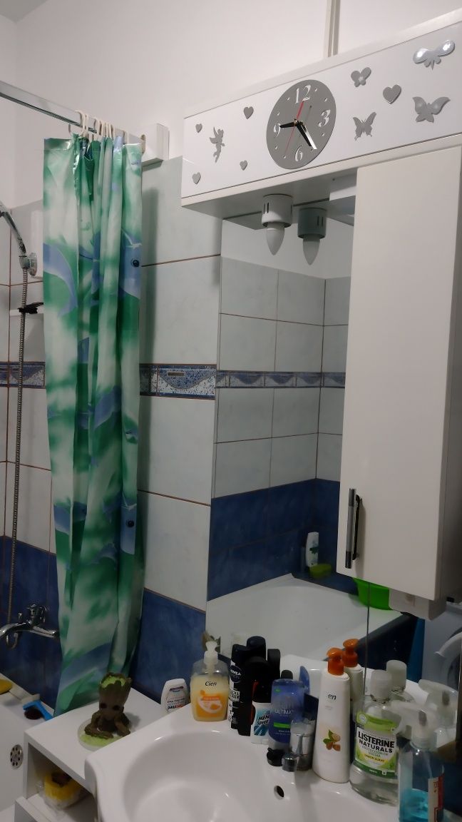 Primesc în gazdă/Dau în chirie apartament