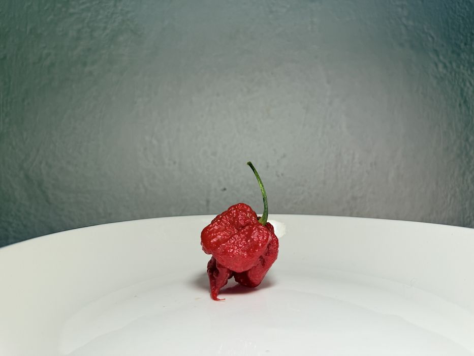 Предварителните поръчки за разсад от люти чушки вече са отворени.