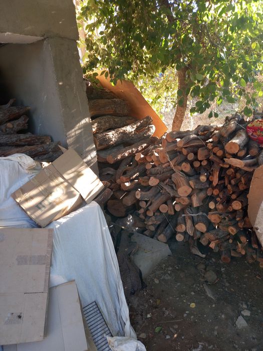 O'tin sotin sotiladi 1 damas