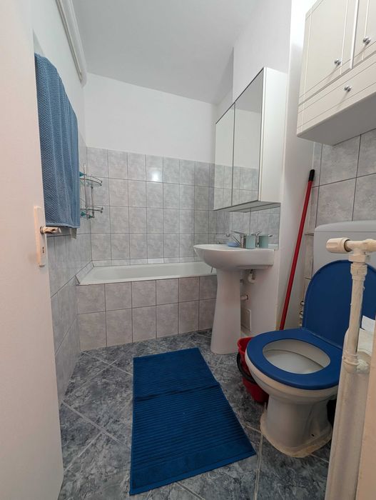 Garsonieră parc Tineretului