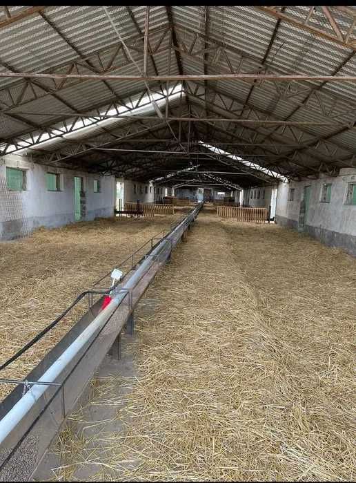 Inchiriez/Vand FERMA