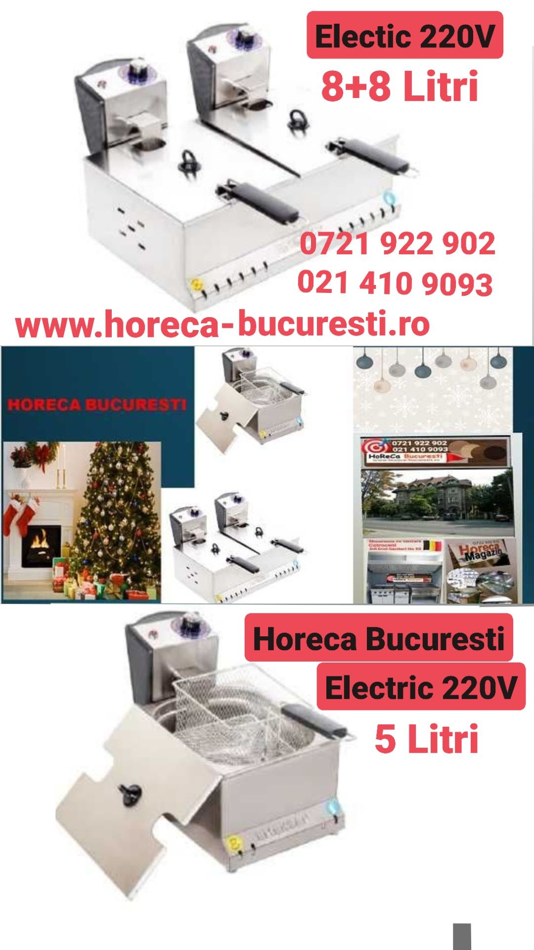 FRITEUZA inox ELECTRICA o cuva 1X8 L / Friteusa dubla 2X8 L / Horeca /